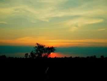 Silhouette trees against dramatic sky during sunset