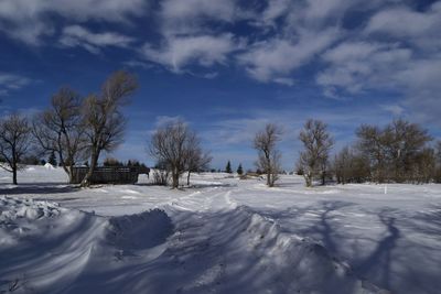 Long shadow in snow