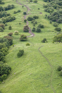 High angle view of green landscape