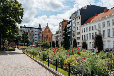 Flowering plants by footpath at town square