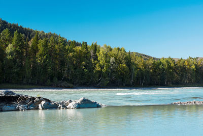 Scenic view of lake against clear blue sky