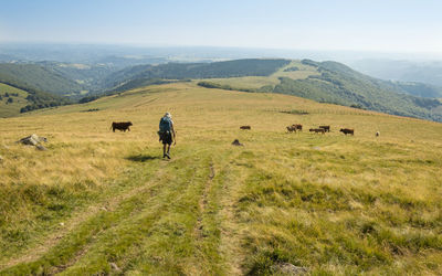 Rear view of man walking on field against sky