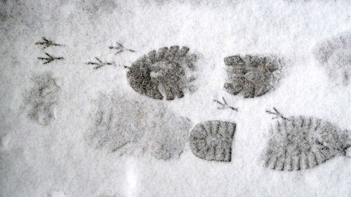 High angle view of snow covered field