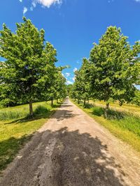 Road amidst trees against sky