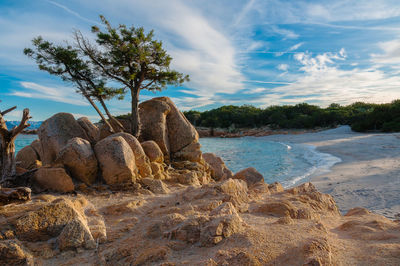 Scenic view of rocks on beach against sky