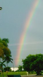 rainbow