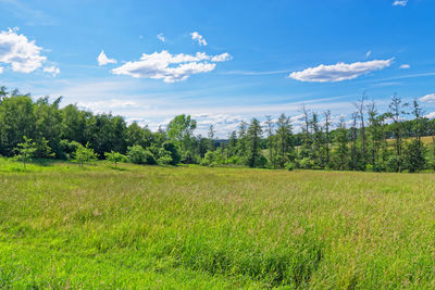 Scenic view of field against sky