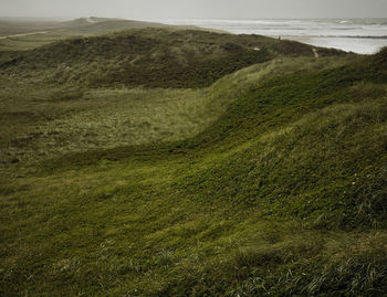 Scenic view of grassy landscape next to beach