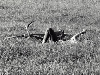 Woman lying on field