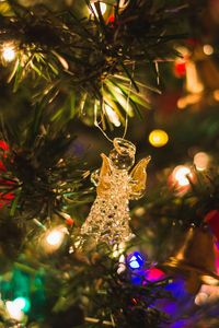 Close-up of christmas tree