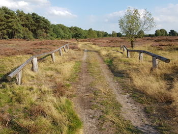 Scenic view of land against sky