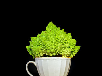 Close-up of drink against black background