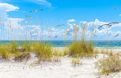 Scenic view of sea against sky