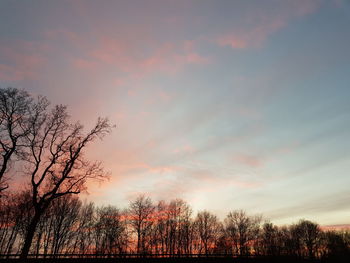 Silhouette bare trees against sky during sunset