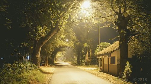 Street amidst trees in city