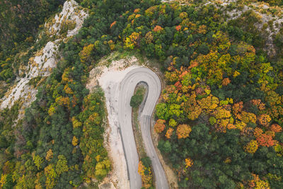 Aerial view of a winding road from a high mountain pass through a dense colorful autumn forest.