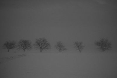 Silhouette bare trees against sky during winter