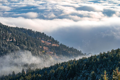 Panoramic view of trees and mountains against sky