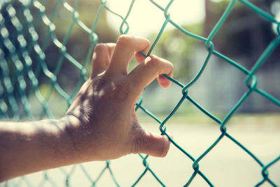 Cropped hand of man holding chainlink fence