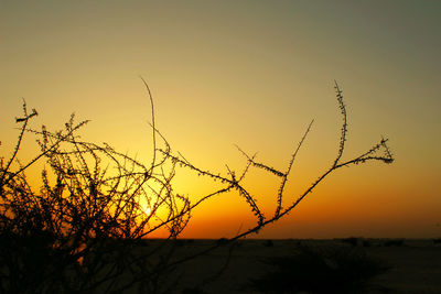 Scenic view of landscape at sunset