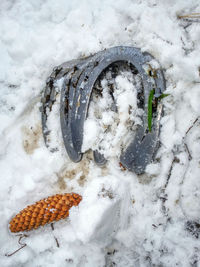 Worn rusted horseshoe lying on snow. winter changing of horse shoes in horse farm. traditional work