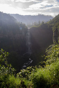 Scenic view of waterfall in forest against sky