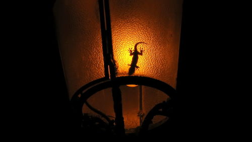Close-up of illuminated light