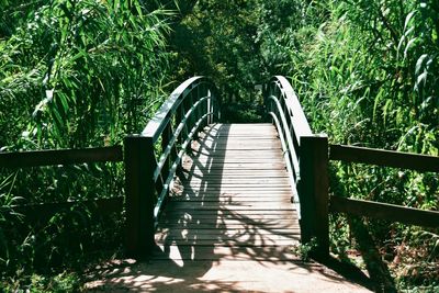 Wooden footbridge amidst trees in forest