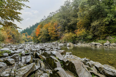 Scenic view of stream in forest against sky during autumn