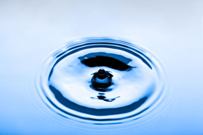 High angle view of blue water in container