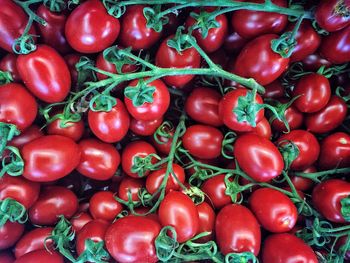 Full frame shot of tomatoes