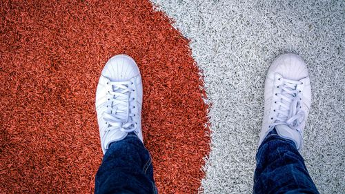 Low section of person standing on carpet