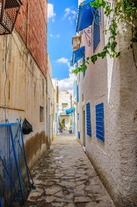 Narrow alley amidst buildings in town