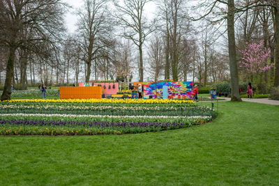 View of multi colored flower plants in park