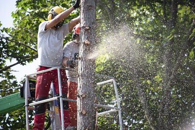 Man working on plants against trees