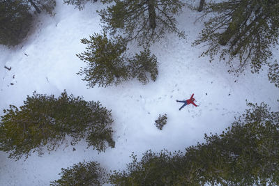 Low angle view of bird flying against sky