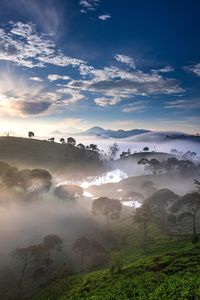 Scenic view of landscape against sky