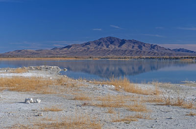 Dramatic colors at the crystal reservoir in ash meadows national wildlife refuge in nevada