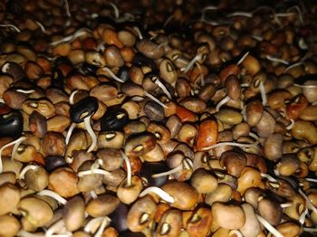 Full frame shot of coffee beans