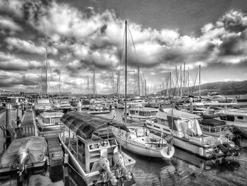 Sailboats in marina