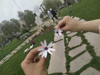 Midsection of person holding flower on plant