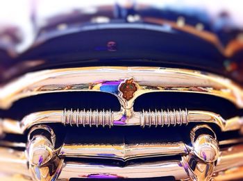 Close-up of plant against blurred background