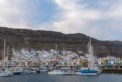 Sailboats moored at harbor against sky