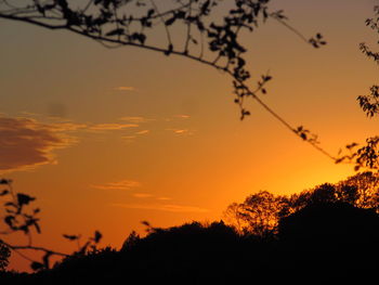 Silhouette trees against sky during sunset