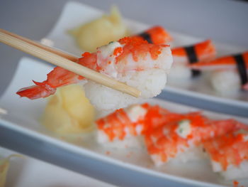 Close-up of sushi served in plate