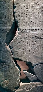 High angle view of bird on wall