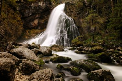 Scenic view of waterfall in forest