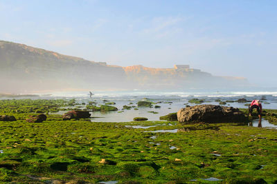 Scenic view of sea against clear sky