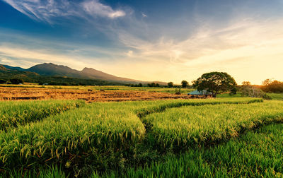 Countryside landscape against the sky