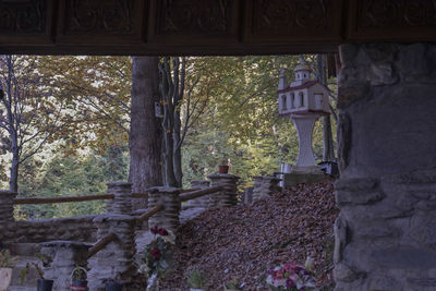 Trees by historic building in forest